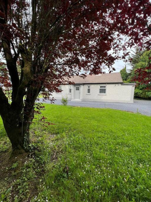 Ballybur Cottage Kilkenny Dış mekan fotoğraf